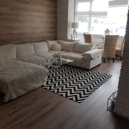 בראשוב Winter Dream Home מראה חיצוני תמונה